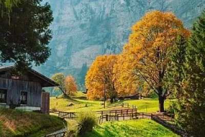 natural jigsaw puzzle