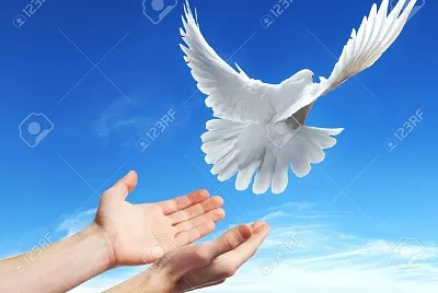 valor