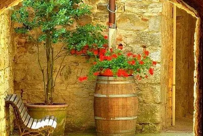 flores