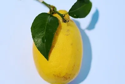 general