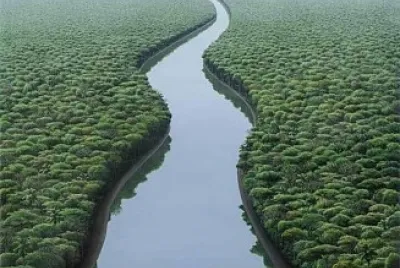 rio amazonia