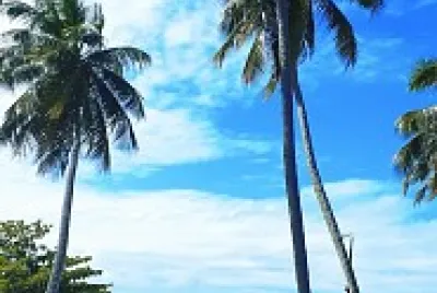 Imagem da minha casa de praia