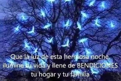 de noche
