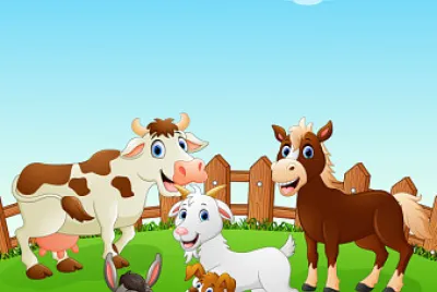 animales