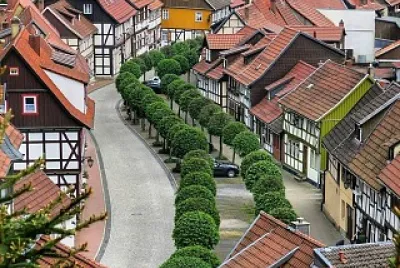 natural jigsaw puzzle