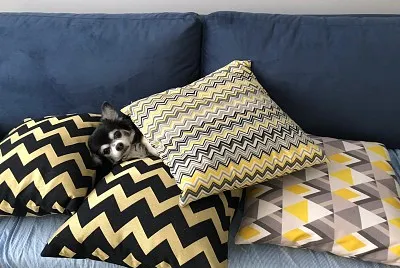 Nick entre almofadas