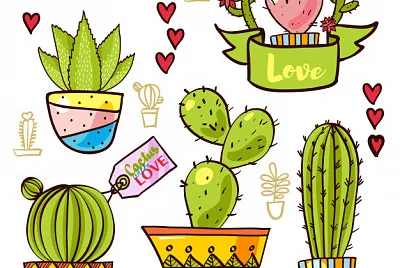 פאזל של cactus