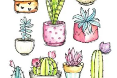 פאזל של cactus