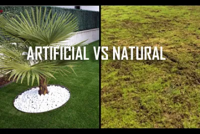 vocabulary natural and artificial