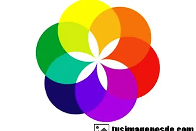 colorido jigsaw puzzle