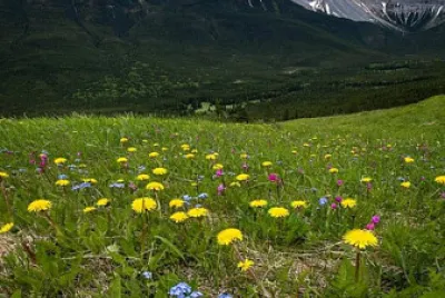 paisaje