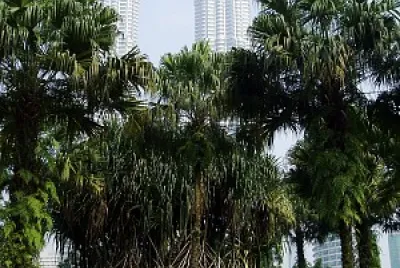 KL