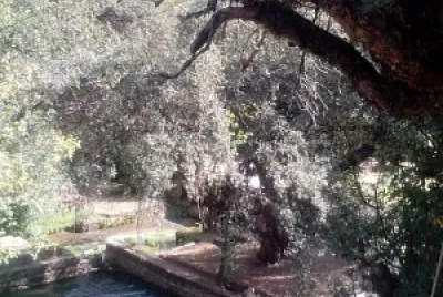 Huancahuasi jigsaw puzzle