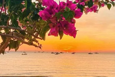flores jigsaw puzzle