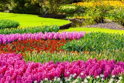 pink garden jigsaw puzzle