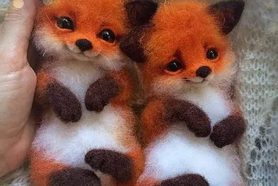 Animales