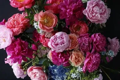 flores