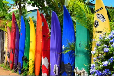 surf
