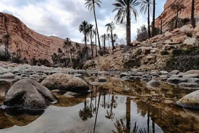 en AlgÃ©rie