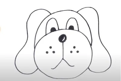 Perro