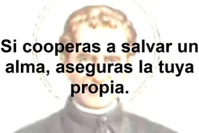 don bosco