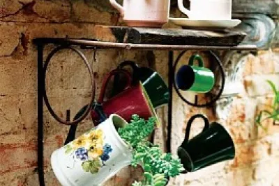 tazas