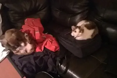 Buddies on the Couch