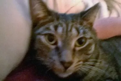 Sebastian