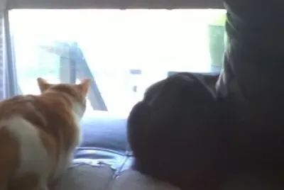 Ava   Sebastian in the window