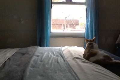 Ava on the bed