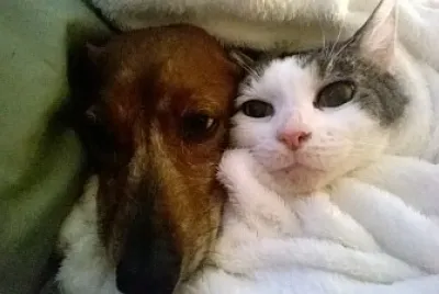 Hansi and Sweet Pea