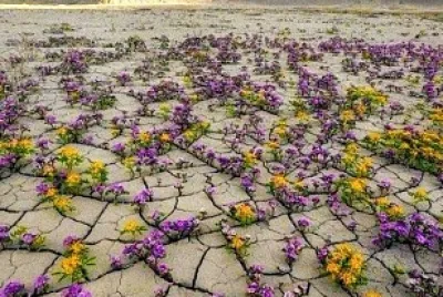 Paisajes