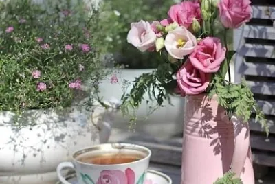 taza