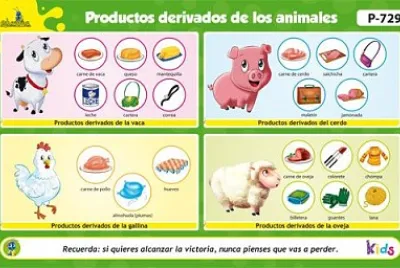 Animales y sus derivados