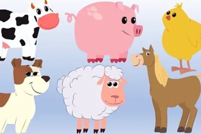 animales