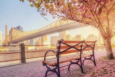 flores jigsaw puzzle
