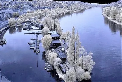 winter #237 jigsaw puzzle