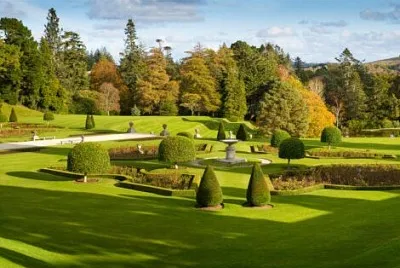 green forest jigsaw puzzle