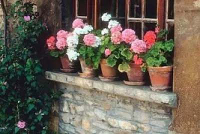 ventana