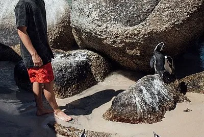 Martin Garrix