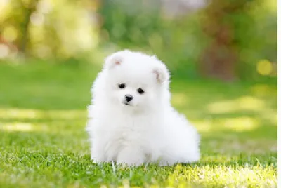 Cute:D