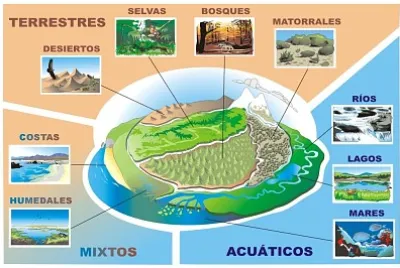 Tipos de ecosistemas.