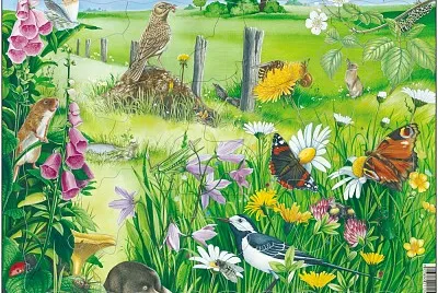 general jigsaw puzzle