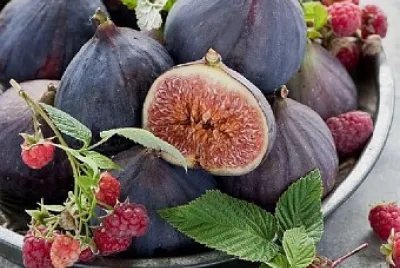 Fruits