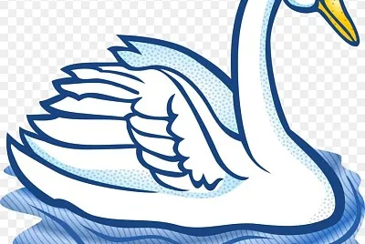 cisne