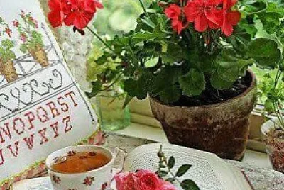 taza jigsaw puzzle