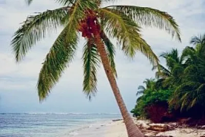 playita