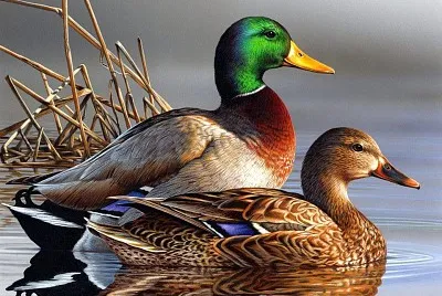 imagem jigsaw puzzle