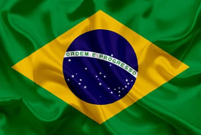 Brazilian Flag