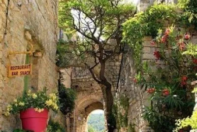 jardin